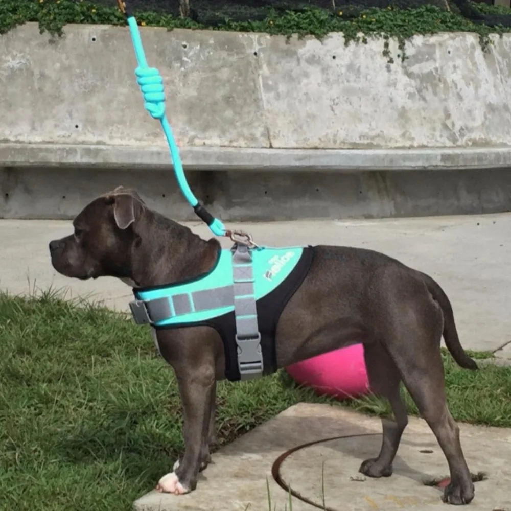 HELIOS • Teal Bark Mudder Leash Harness Dog Walker